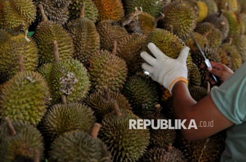 Permintaan China Rp120 Triliun, Durian RI Siap Kebagian Besar