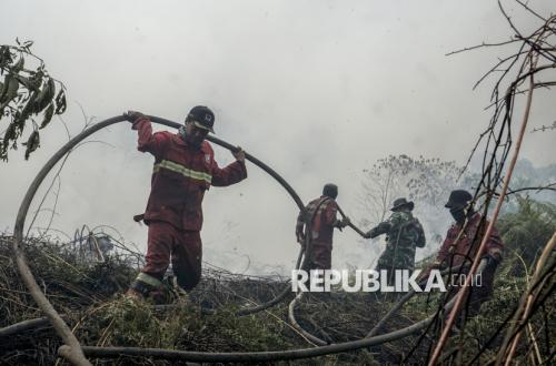 Karhutla Riau Belum Padam, 14 Hektare Lahan di Rimbo Panjang dan Pagaruyung Hangus Terbakar