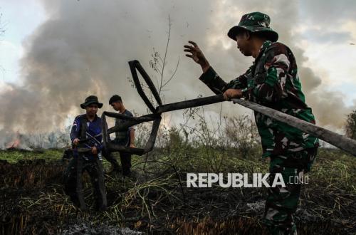 BNPB: Karhutla dan Kekeringan Dominasi Bencana Sepanjang Pekan Ini