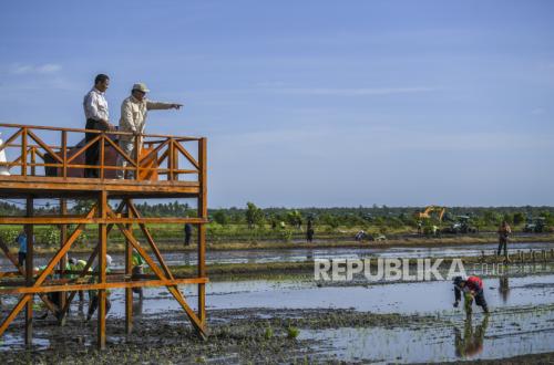 Papua Selatan Kini Jadi Andalan Baru Produksi Pangan Nasional