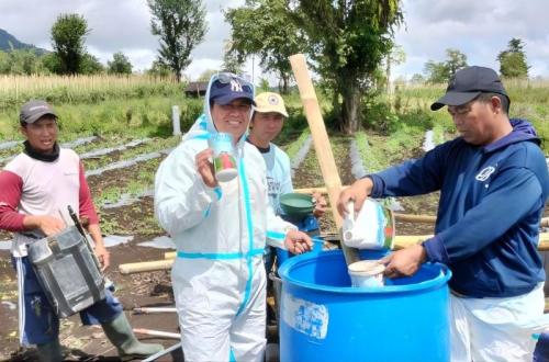 Pertamina Geothermal dan UGM Kembangkan Booster Pertanian Berbasis Panas Bumi