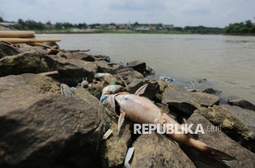 BRIN Turun Tangan Selidiki Pencemaran Sungai Cisadane