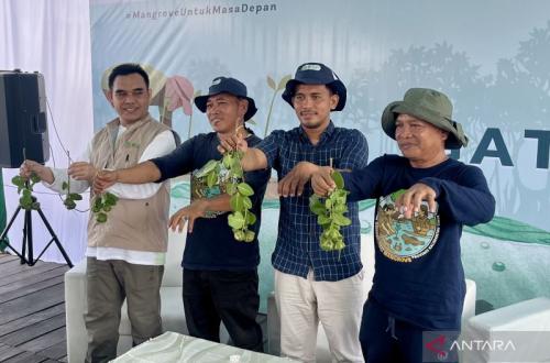 Petambak Kutai Kartanegara Diajak Tanam Mangrove Pulihkan Produktivitas Tambak