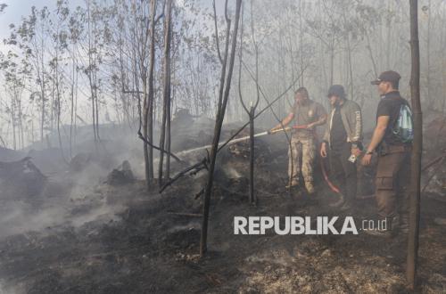 Hotspot Karhutla Nasional Naik 228 Titik