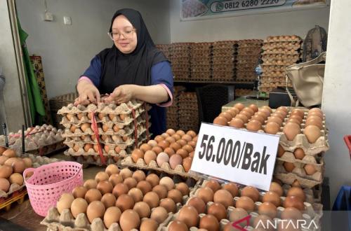 Tradisi Maulid Dongkrak Harga Telur di Gorontalo, Tembus Rp56 Ribu Per Bak