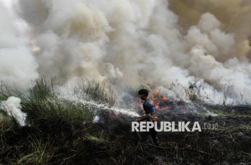 Ancaman Karhutla Meningkat, DPR Minta Mitigasi Diperkuat