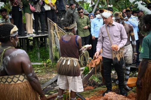 Wapres Gibran Tinjau Sekolah Lapang Sagu Asmat, Dorong Hilirisasi Komoditas Unggulan