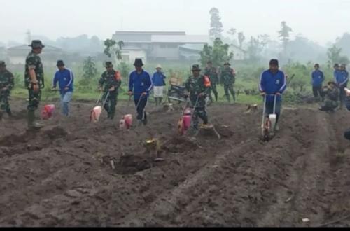 TNI Tanam Jagung di Kediri untuk Dukung Ketahanan Pangan Nasional