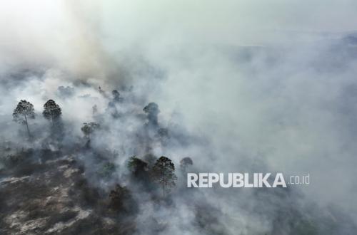 Presiden Berencana Memperberat Sanksi Perusahaan Penyebab Karhutla