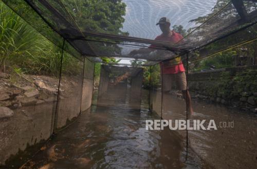 Keramba Jaring Apung Kepulauan Seribu Kini Jadi Destinasi Wisata