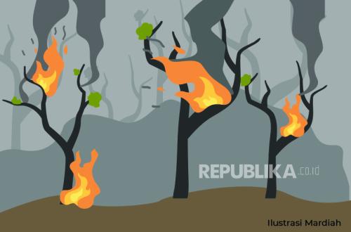 673,4 Hektare Kawasan TN Way Kambas Masih Terbakar
