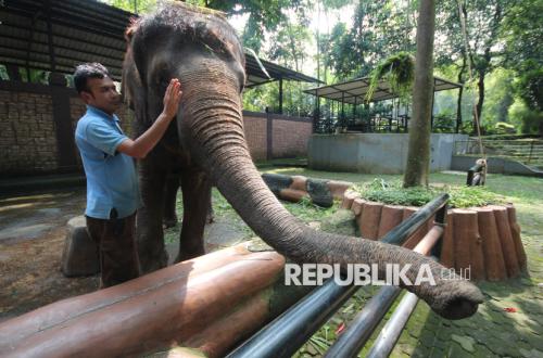 Lelang Bandung Zoo Sepi Peminat, Eks Karyawan Harap Segera Ada Kejelasan dan tidak Terkatung-katung