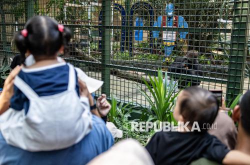 Sambut HUT Jakarta ke-499 Pemprov DKI Gratiskan Ancol, Ragunan, dan Transportasi Umum