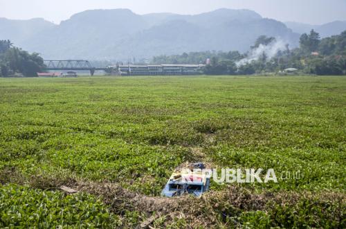 Eceng Gondok Penuhi Sungai Citarum, Warga Keluhkan Pendangkalan dan Sulitnya Mencari Ikan