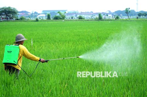 Pelemahan Rupiah Picu Lonjakan Harga Pupuk Nonsubsidi