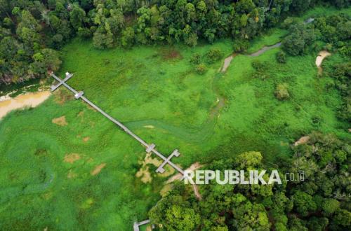 Waduk Manggar Dipenuhi Gulma, Aktivitas Wisata dan Pasokan Air Terdampak