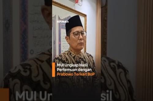 MUI Ungkap Hasil Pertemuan dengan Prabowo Terkait BoP