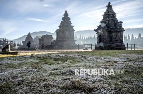 Embun Upas Rusak 30 Hektare Tanaman Kentang di Dieng, Petani Rugi Miliaran Rupiah