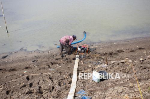 Kekeringan Meluas dan Mulai Berdampak ke Pertanian