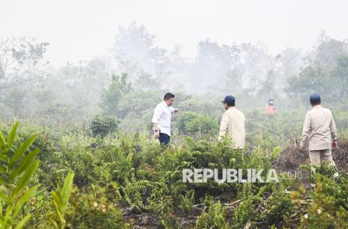 Mensesneg: Empat Korporasi di Kalbar Diselidiki Terkait Karhutla