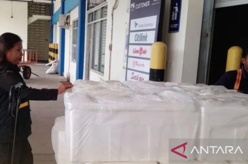 BKHIT Maluku Periksa Kelayakan 924 Kepiting Bakau Hidup Tujuan Jakarta