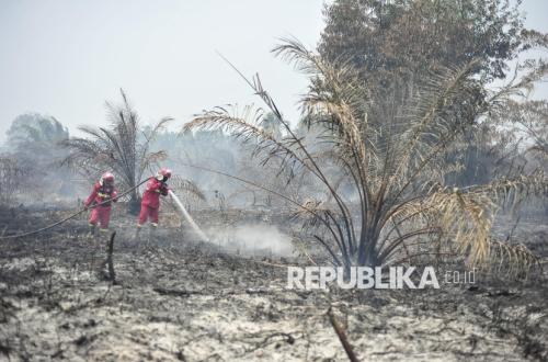 180 Hotspot Muncul di Kalsel, Kemenhut Terapkan Strategi Berlapis