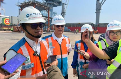 PTP Nonpetikemas Catat Kinerja Positif di Triwulan I 2026