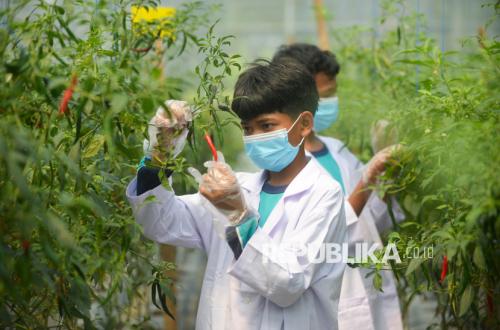 Pesantren Pertanian Darul Fallah: Cetak Santri Penjaga Ketahanan Pangan