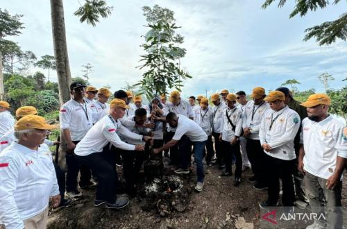 74 Kades Bulungan Tanam Pohon Endemik di Kebun Raya Bundayati
