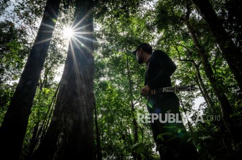 FAO Sebut Indonesia Mitra Kehutanan Paling Strategis