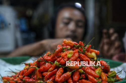 Jelang Ramadhan, BPS Catat Harga Cabai Rawit Naik Jadi Rp 63 Ribu per Kilogram
