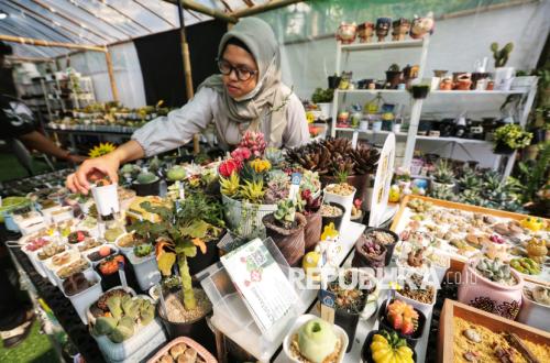 Pemerintah Targetkan 10 Juta Wirausaha Baru hingga 2029