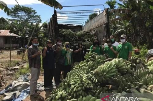 Kaltim Dorong Diversifikasi Pangan Lokal untuk Hadapi Perubahan Iklim