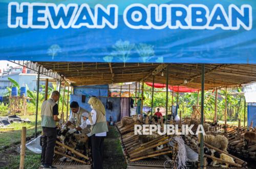 Ekonomi Kelas Menengah Tertekan, Pekurban 2026 Diprediksi Beralih ke Hewan yang Lebih Murah