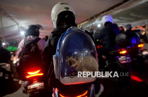 Hiruk Pikuk Pemudik Motor Padati Pelabuhan Ciwandan