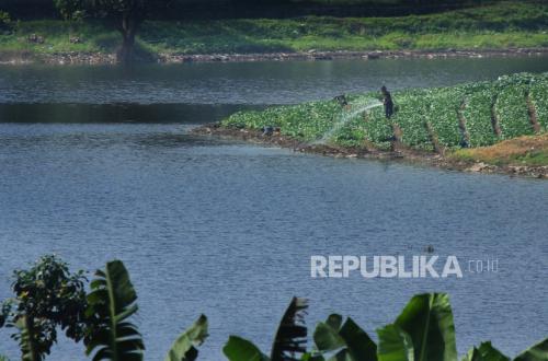Pasokan Listrik Jawa-Bali Terancam Berkurang Gara-Gara Eceng Gondok Selimuti Waduk Saguling