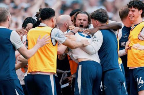 Tottenham Selamatkan Diri dari Degradasi Usai Kalahkan Everton