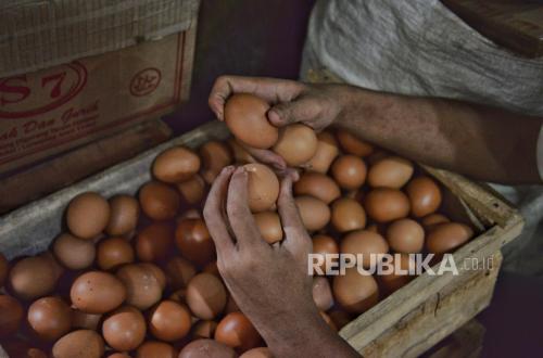 Amran Minta Pembeli Telur Patuhi HAP Rp 26.500 per Kilogram