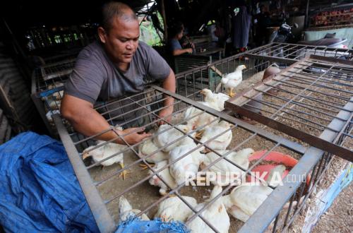 Satgas Temukan Ayam dan Bawang Putih di Atas HAP di Jawa Tengah