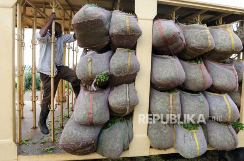 AI Jadi Andalan Petani Afrika Hadapi Perubahan Iklim
