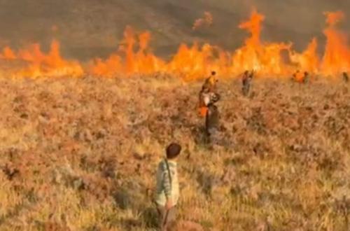 Kebakaran Gunung Bromo Meluas Capai 176 Hektare, Akses Wisata Ditutup Total