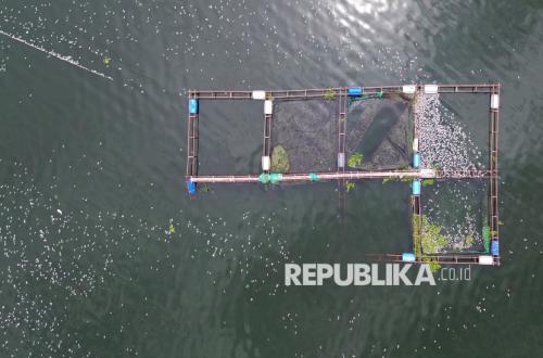 Bangkit dari Bencana, Warga Selingkar Danau Maninjau Tetap Gelar Tradisi Rakik-Rakik