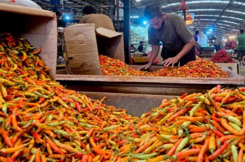 Kementan: Blitar dan Kediri Pastikan Pasokan Cabai Aman Selama Ramadhan