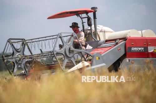 Nilai Tukar Petani Menguat, Didorong Penurunan Biaya Produksi