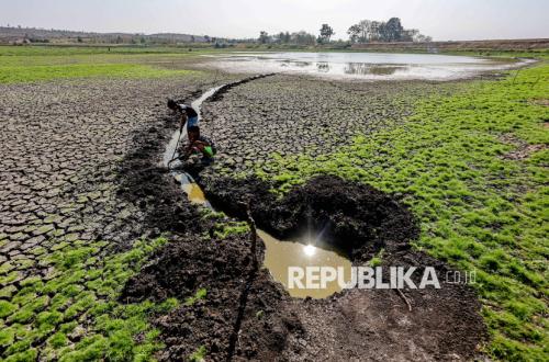Waduk Sumberkepuh Nganjuk Mengering, Irigasi 400 Hektare Lahan Pertanian Terdampak