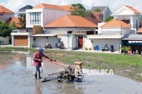 Lahan Sawah di Bali Terus Menyusut Setiap Tahun