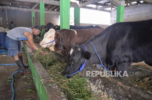 Biogas Berpotensi Dorong Pemanfaatan Energi Baru Terbarukan di Pedesaan