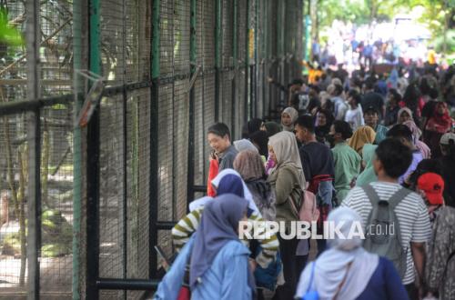 HUT Jakarta, Ragunan Gratiskan Tiket Masuk