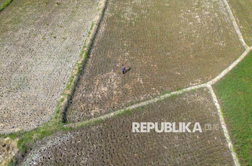 Siaga El Nino Ekstrem Tahun Ini, Kementan Bakal Optimalkan 80 Ribu Pompa Air