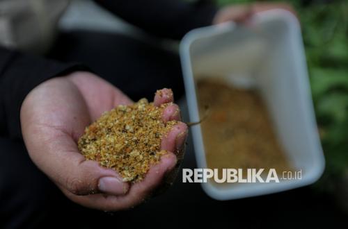 UBSI Padukan AI dan Urban Farming untuk Dukung Ketahanan Pangan Keluarga